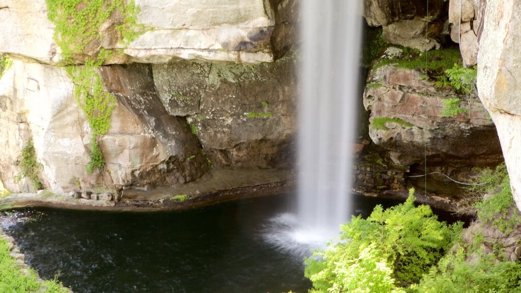 Lookout Mountain showing a waterfall