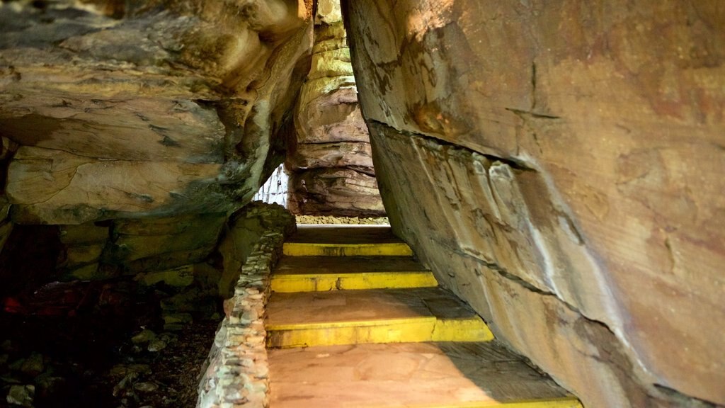 Lookout Mountain que inclui cavernas