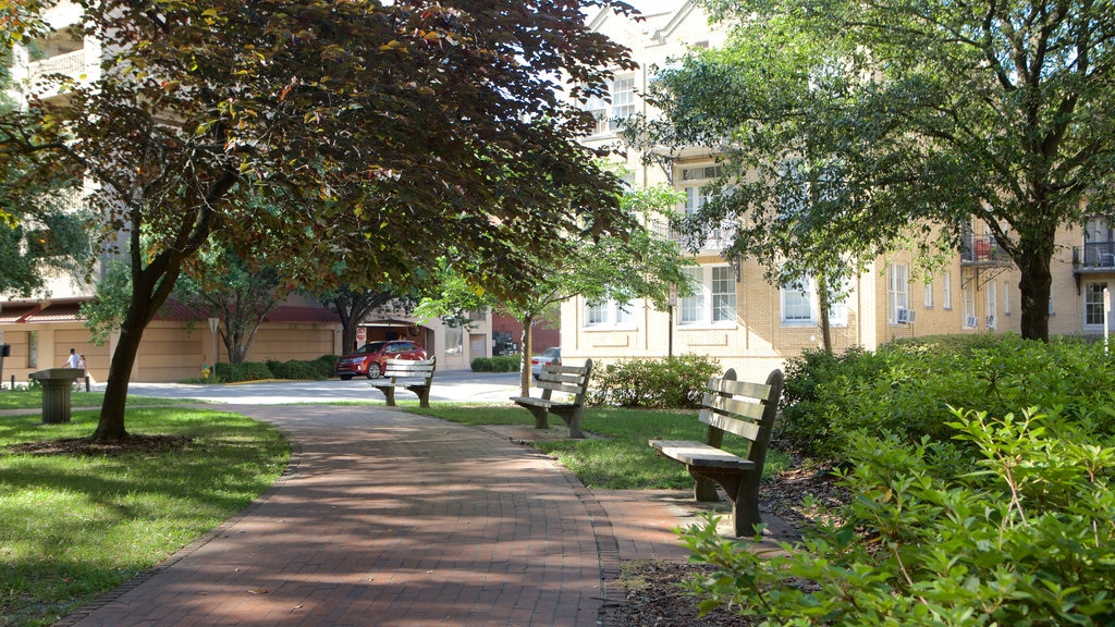 Oglethorpe Square showing a garden