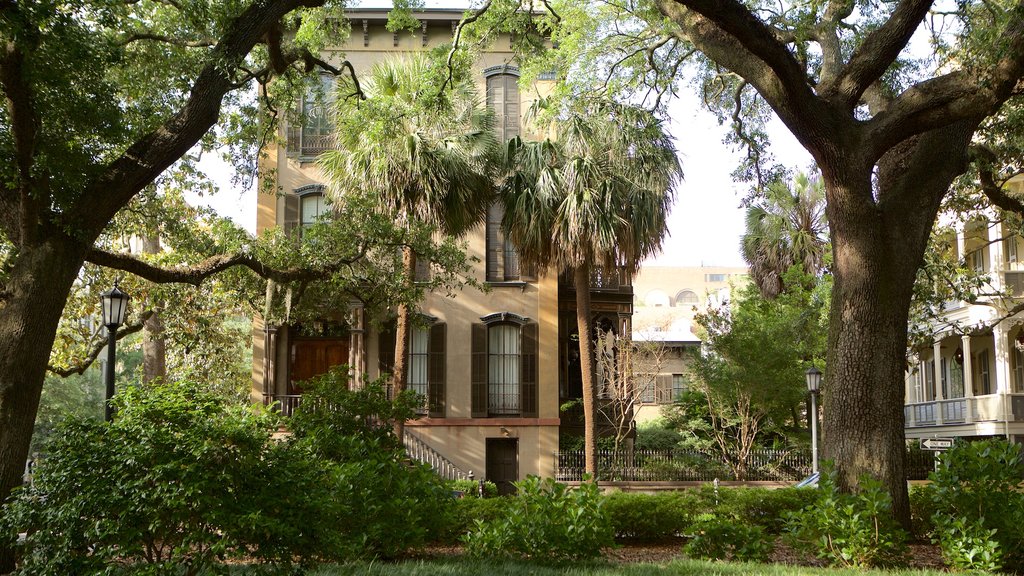 Monterey Square showing a garden