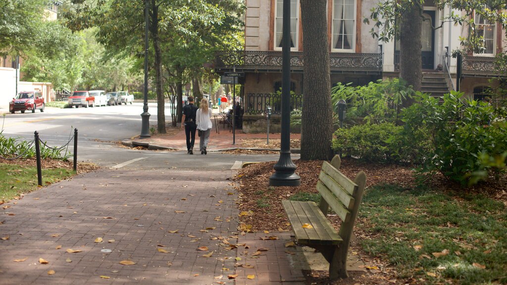 Monterey Square featuring a garden