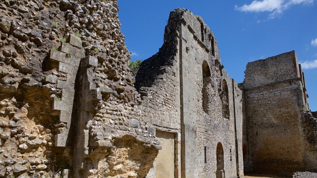 Wolvesey Castle showing heritage architecture and a ruin