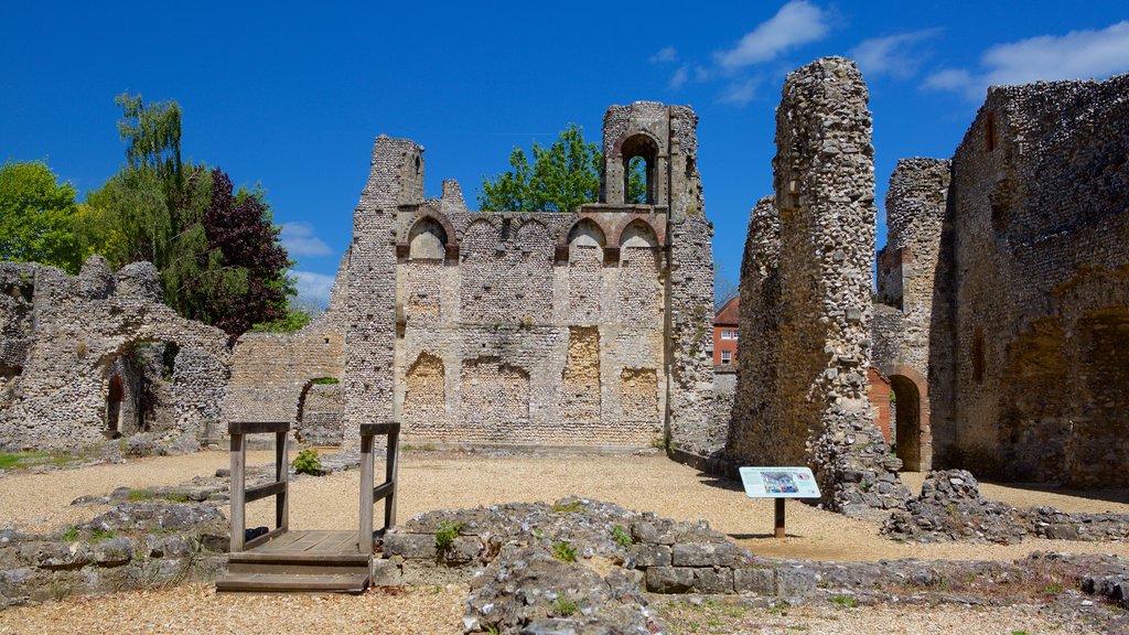 Wolvesey Castle ofreciendo arquitectura patrimonial y una ruina