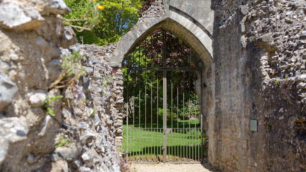 Wolvesey Castle que incluye patrimonio de arquitectura y una ruina