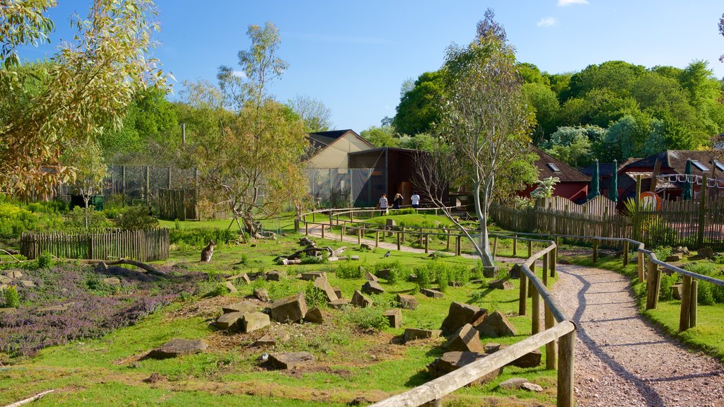 Marwell Wildlife 動物園