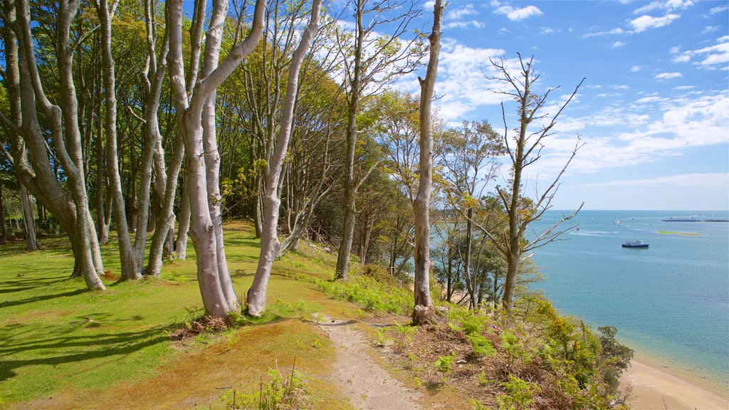 เกาะ Brownsea