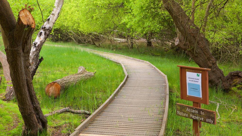 Brownsea Island showing wetlands and a bridge