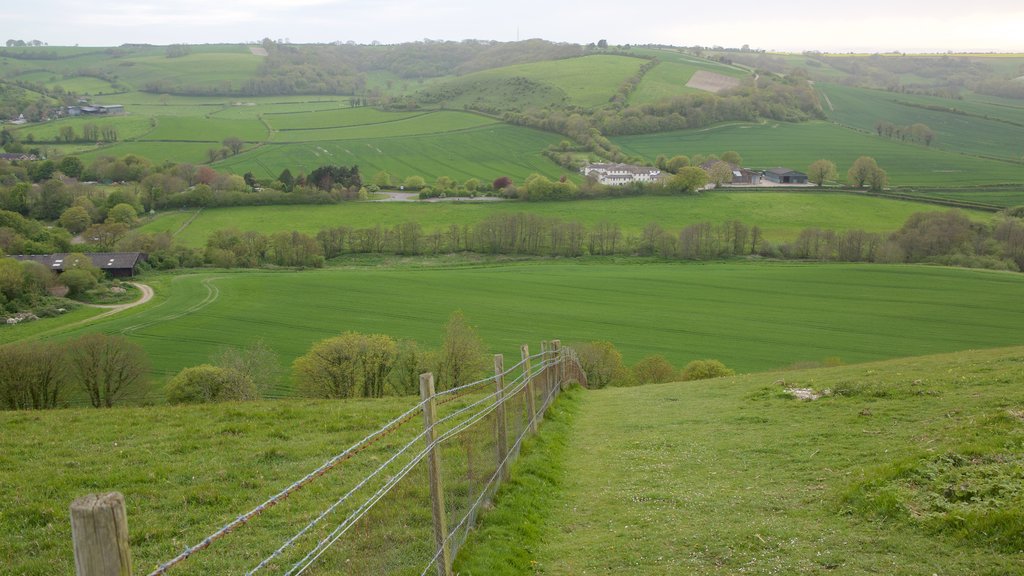 Cerne Abbas Giant inclusief vredige uitzichten