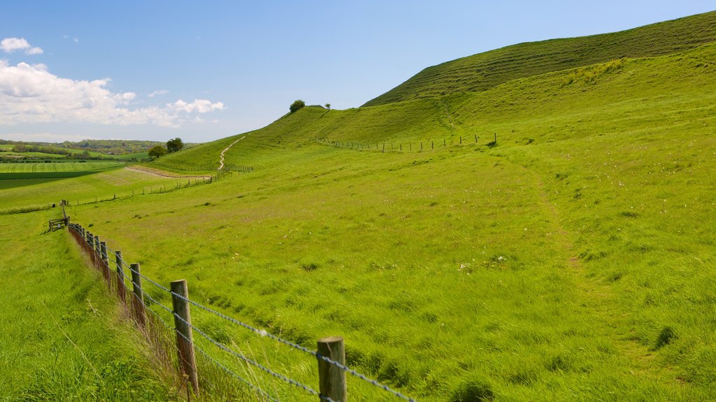 Maiden Castle showing tranquil scenes