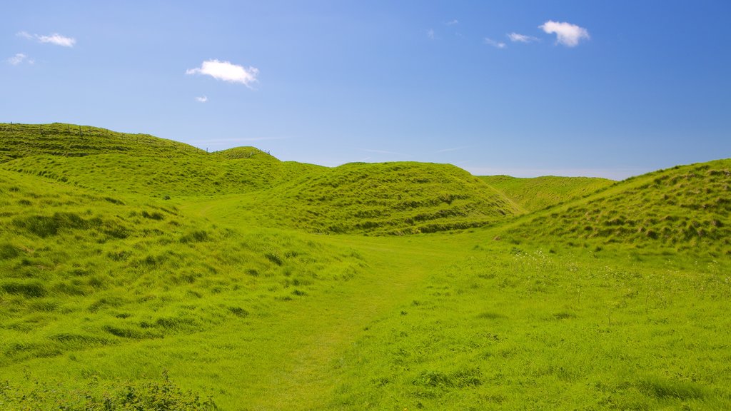 Maiden Castle showing tranquil scenes