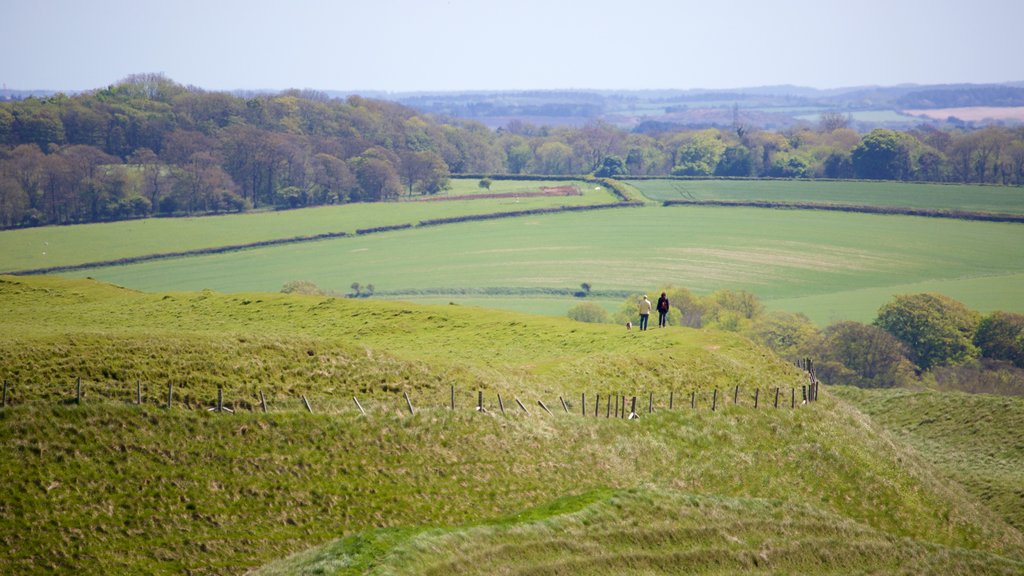 Maiden Castle showing tranquil scenes