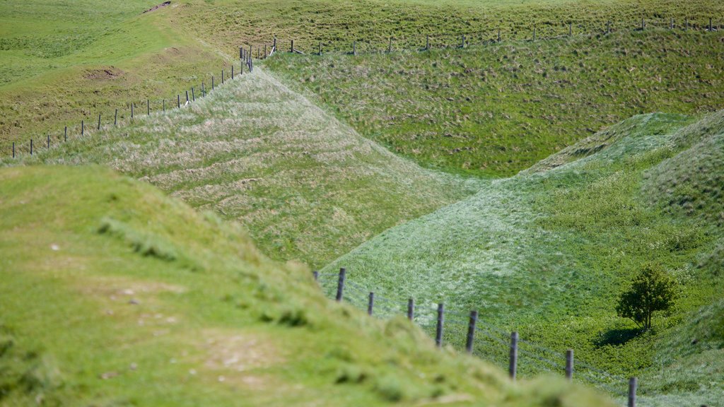 Maiden Castle showing tranquil scenes