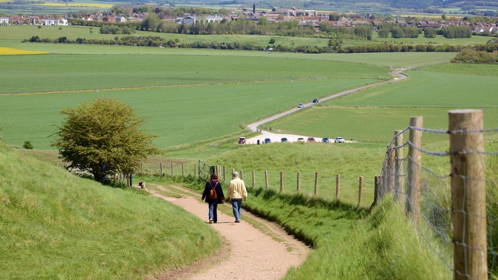 Maiden Castle toont vredige uitzichten en ook een stel