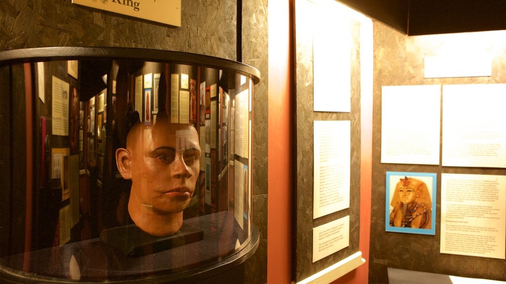 The Tutankhamun Exhibition showing interior views