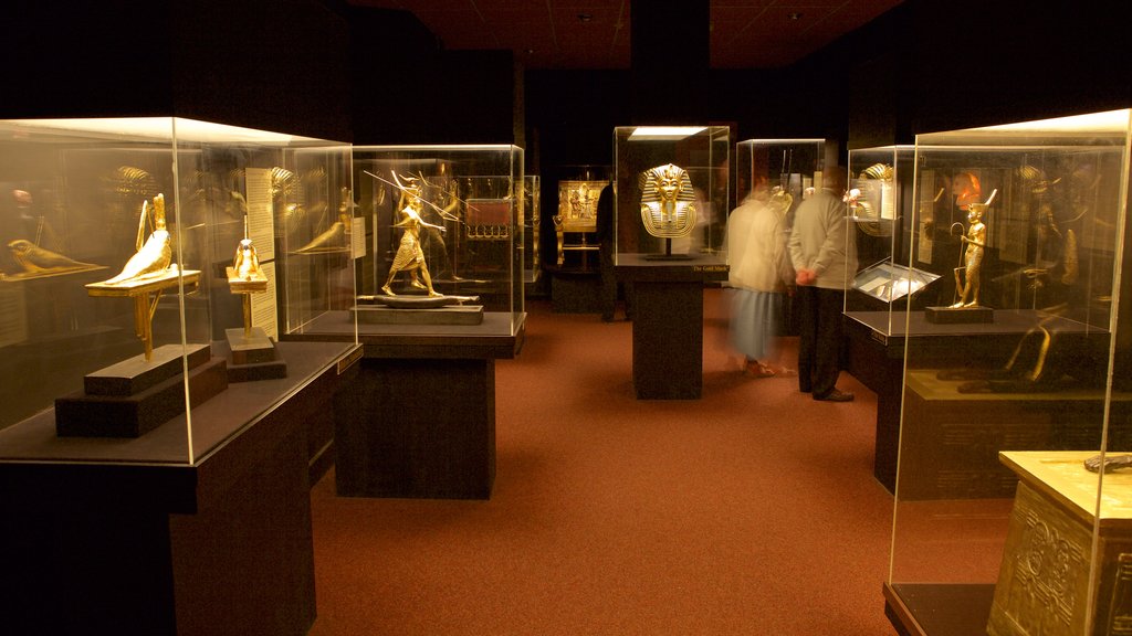 Tutankhamun: The Exhibition caratteristiche di oggetti d\'epoca e vista interna