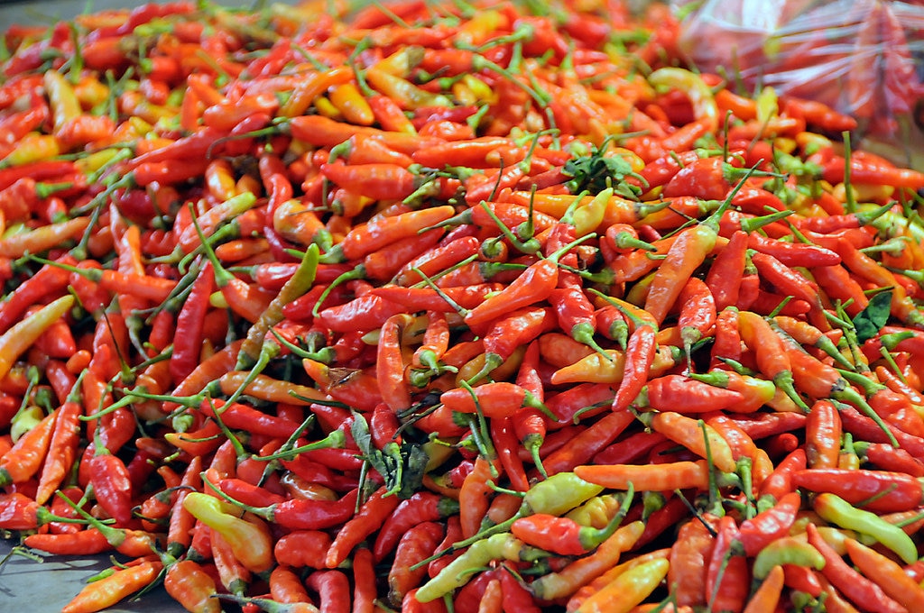 Red chillies