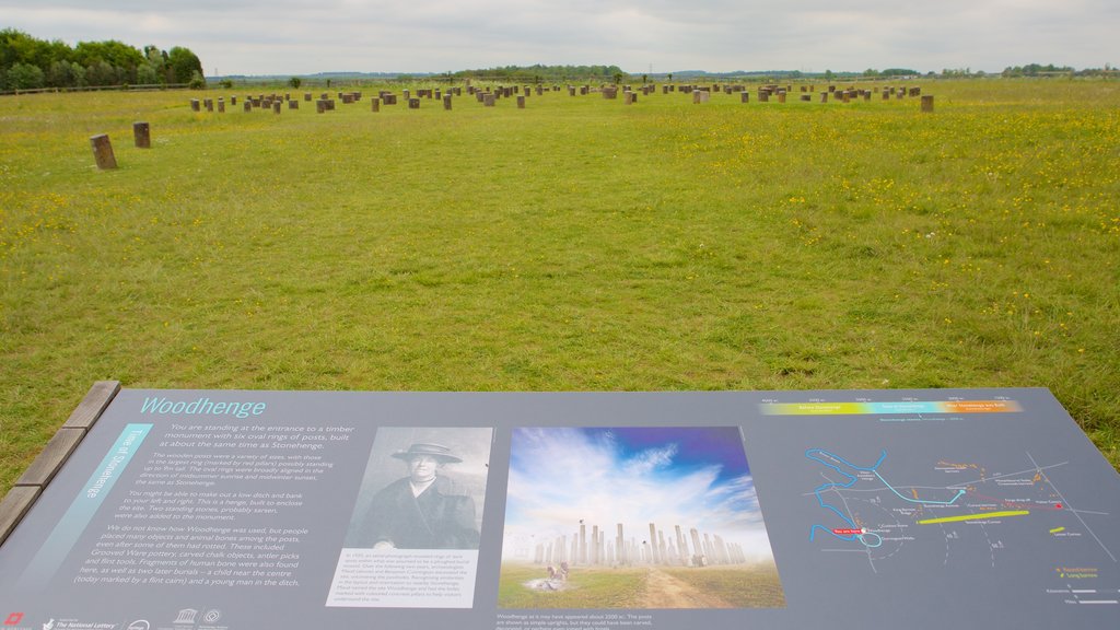 Woodhenge bevat kunst in de open lucht, vredige uitzichten en bewegwijzering