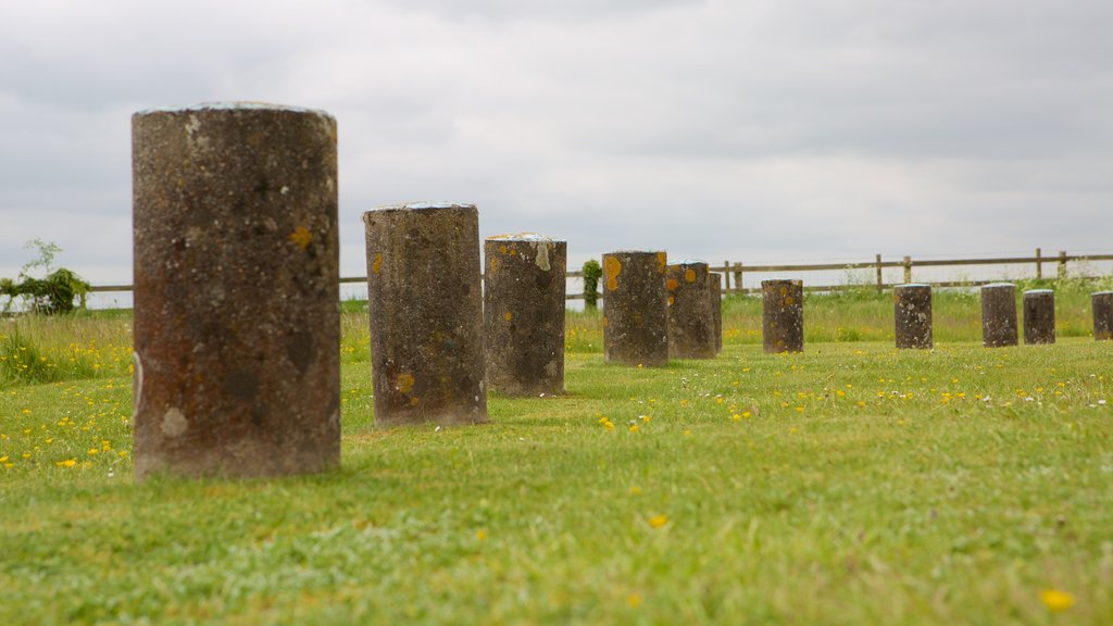 Woodhenge mettant en vedette un monument, art extérieur et paysages paisibles