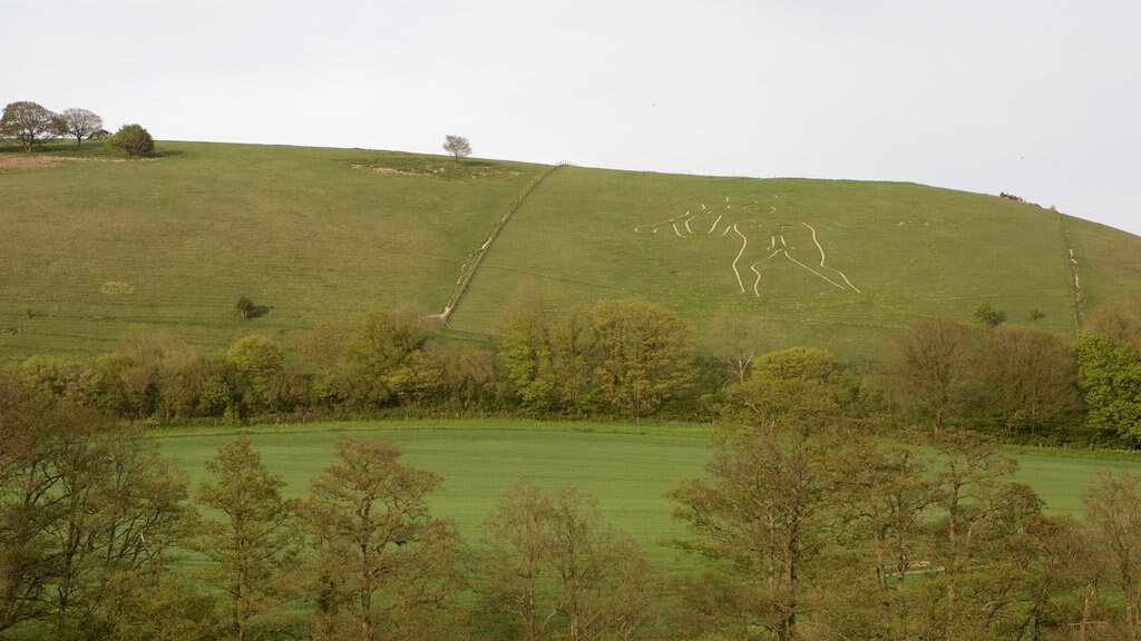 Géant de Cerne Abbas mettant en vedette art extérieur et paysages paisibles