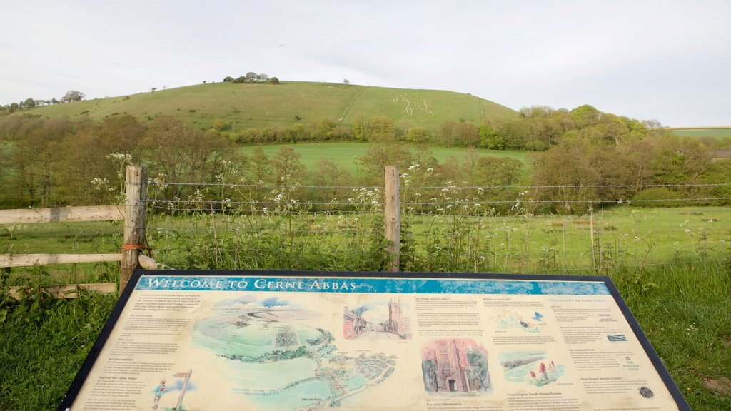 Cerne Abbas Giant showing signage and tranquil scenes