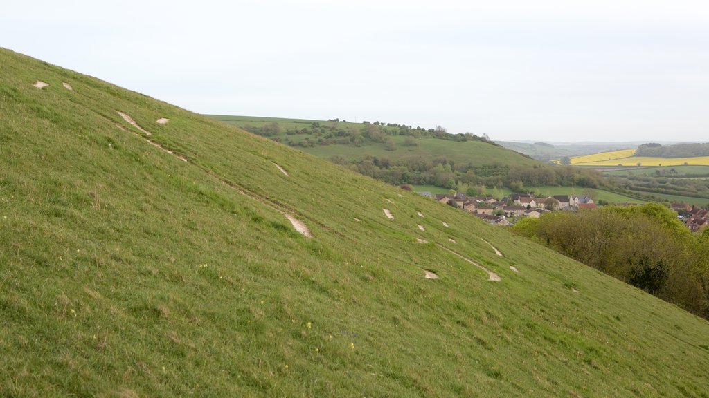 Géant de Cerne Abbas montrant paysages paisibles