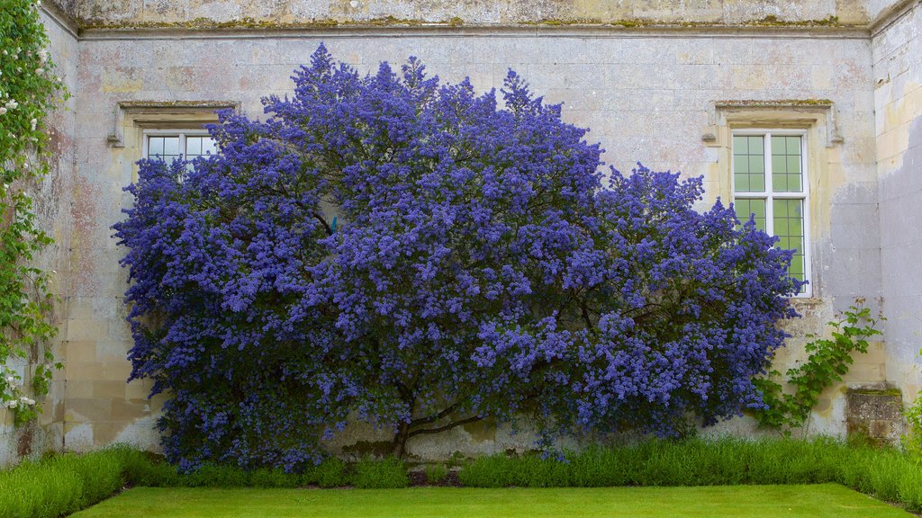 Wilton House que incluye flores