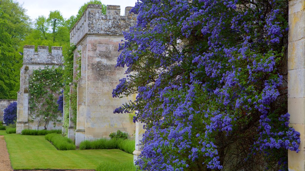 Wilton House which includes flowers and heritage architecture