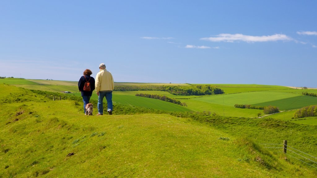 Maiden Castle featuring tranquil scenes as well as a couple