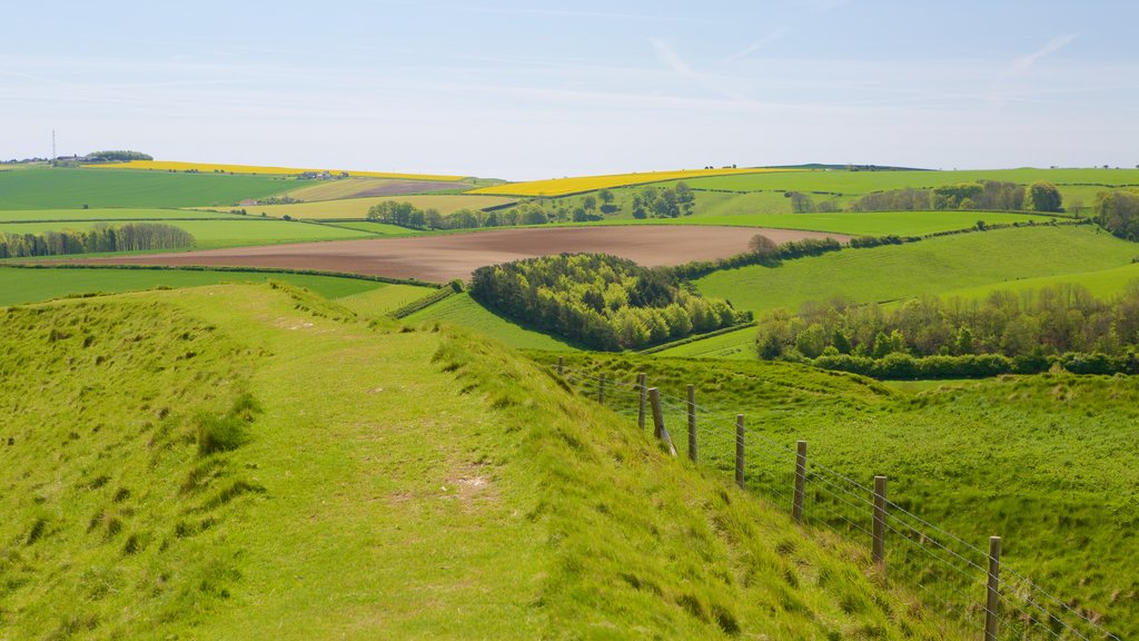 Maiden Castle showing tranquil scenes