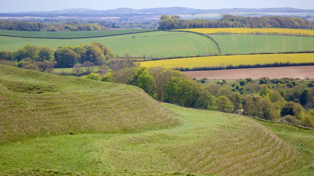 Maiden Castle som viser fredfyldte omgivelser