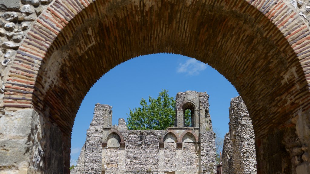 Wolvesey Castle que incluye un castillo y elementos patrimoniales