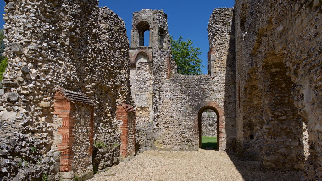 Wolvesey Castle featuring heritage elements, a ruin and a castle