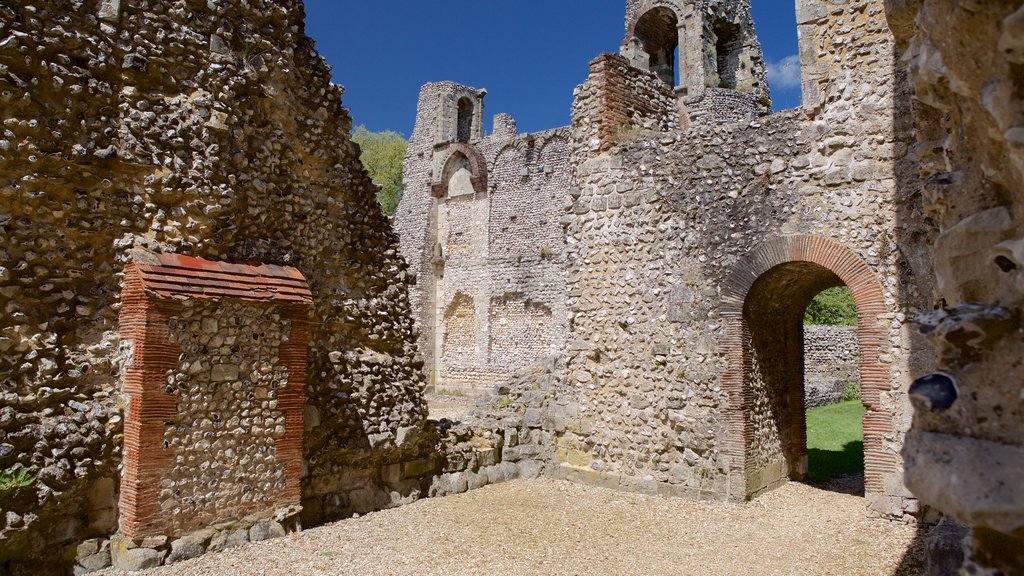 Wolvesey Castle showing a ruin, heritage elements and a castle