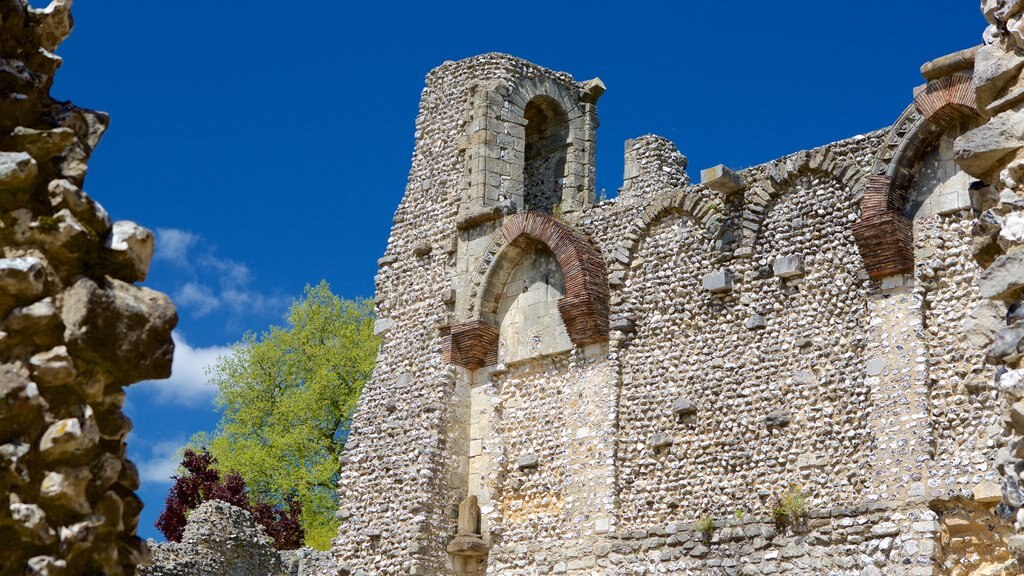 Wolvesey Castle showing heritage elements, building ruins and a castle