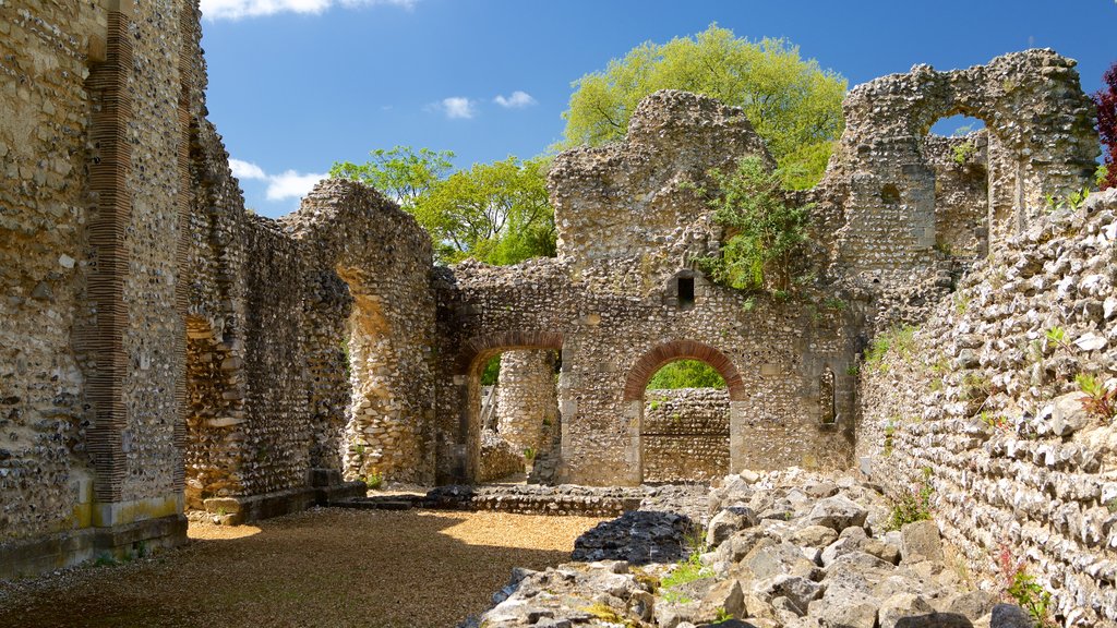 Wolvesey Castle showing château or palace, heritage elements and a ruin