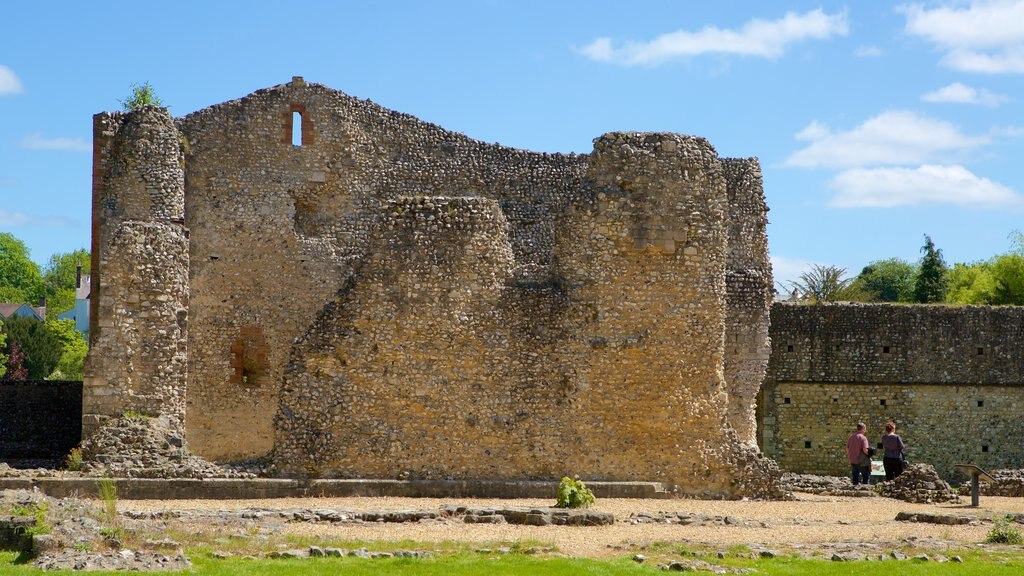 Wolvesey Castle featuring building ruins, a castle and heritage elements