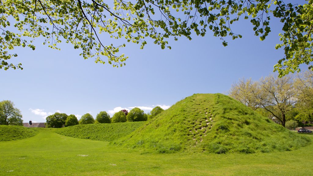 Maumbury Rings showing tranquil scenes