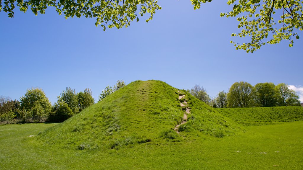 Maumbury Rings showing tranquil scenes