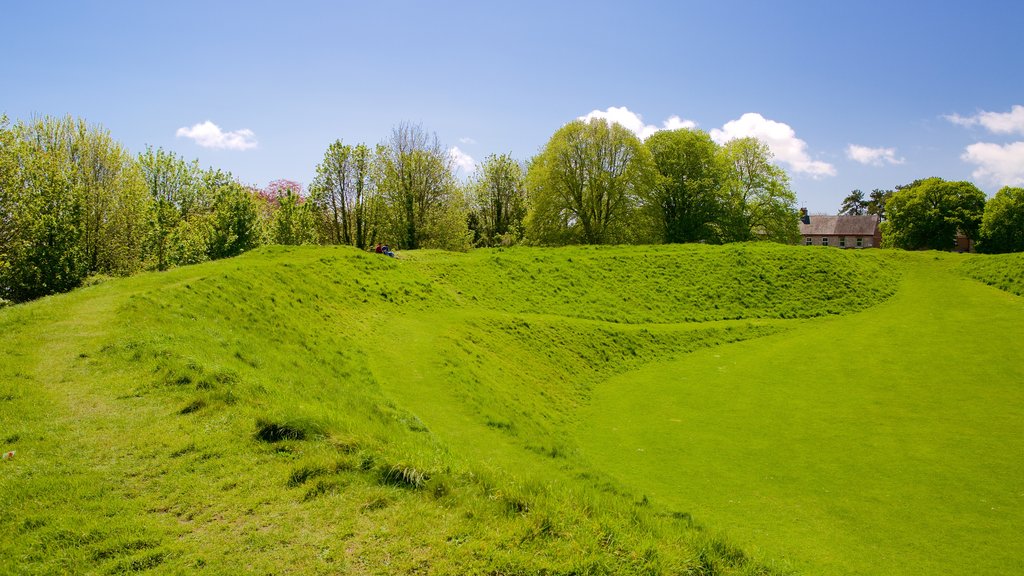 Maumbury Rings showing tranquil scenes