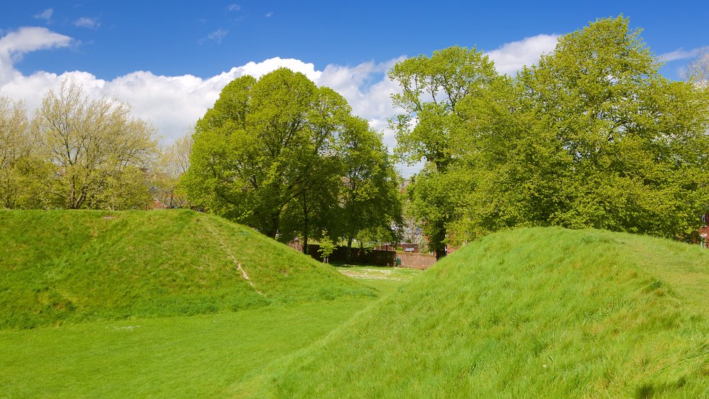 Maumbury Rings showing tranquil scenes