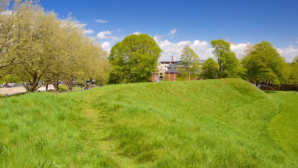 Maumbury Rings showing tranquil scenes