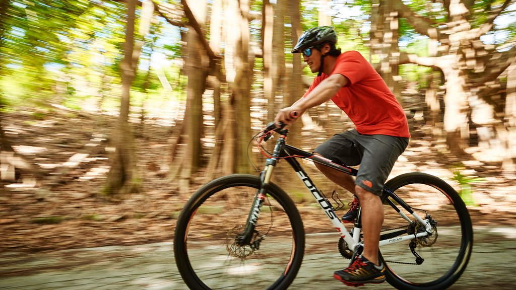 Bermuda som omfatter mountainbiking såvel som en mand