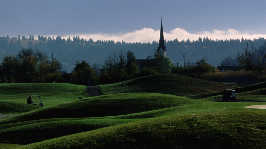 Cranbrook showing golf