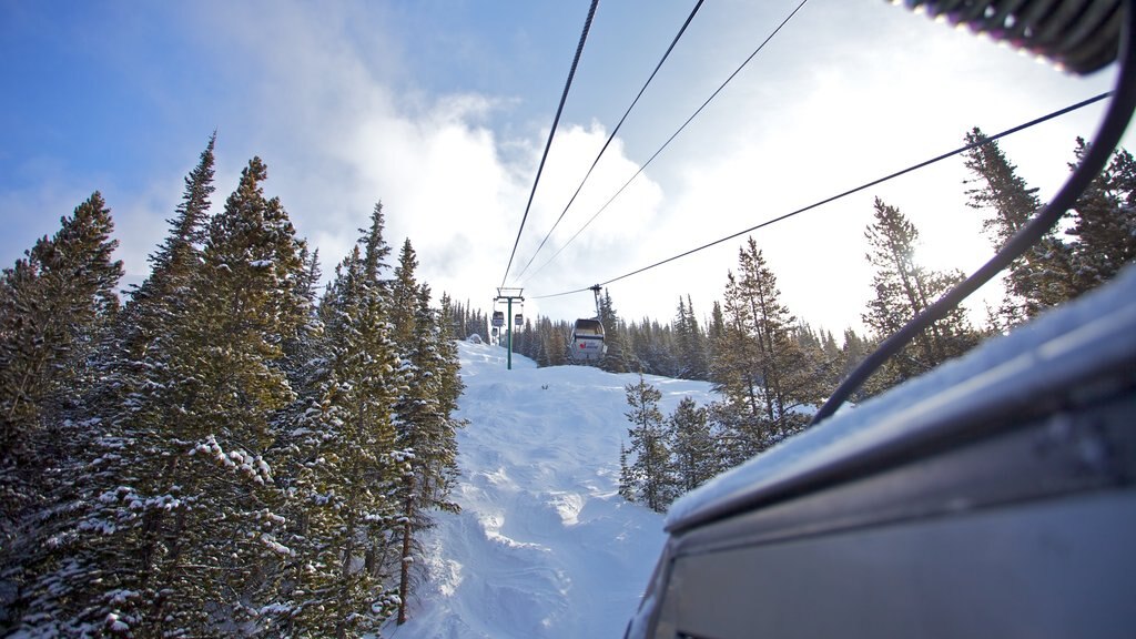 Lake Louise showing a gondola and snow