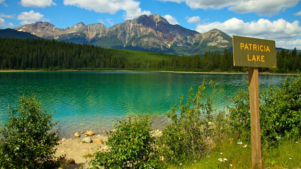 Patricia Lake showing a lake or waterhole and signage