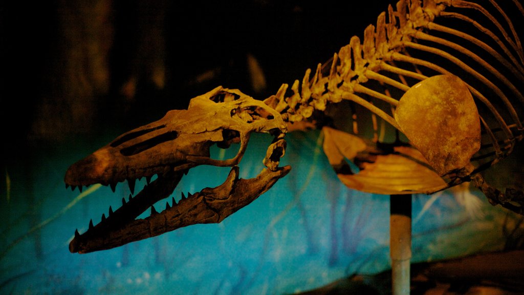 Bảo tàng Royal Tyrrell