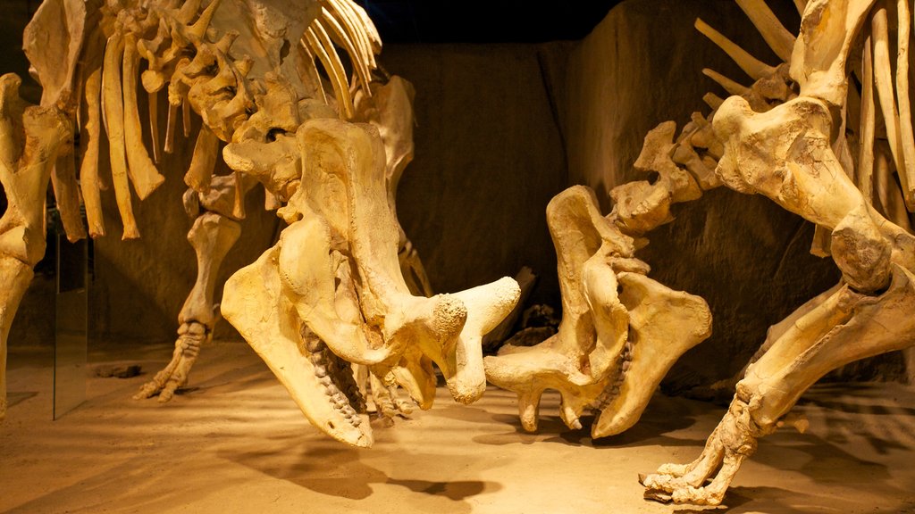 Bảo tàng Royal Tyrrell