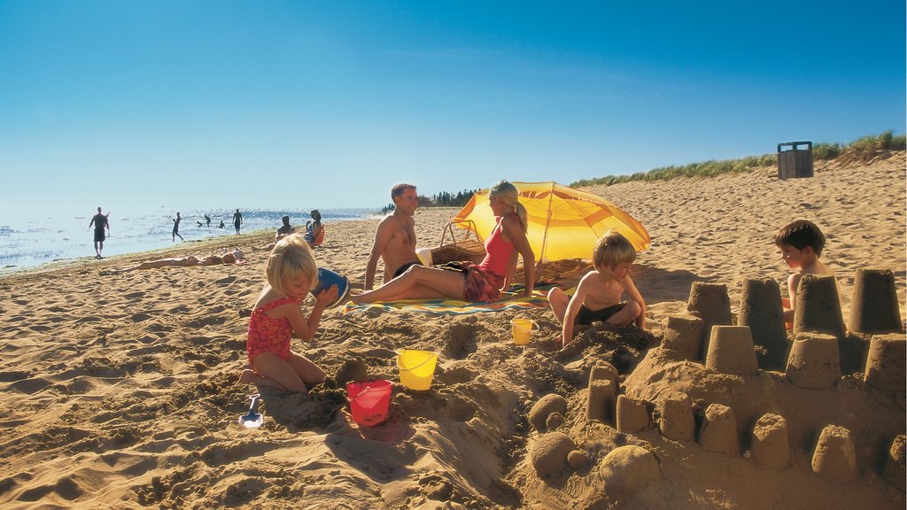 Parque provincial de la Playa Parlee mostrando una playa de arena y también una familia