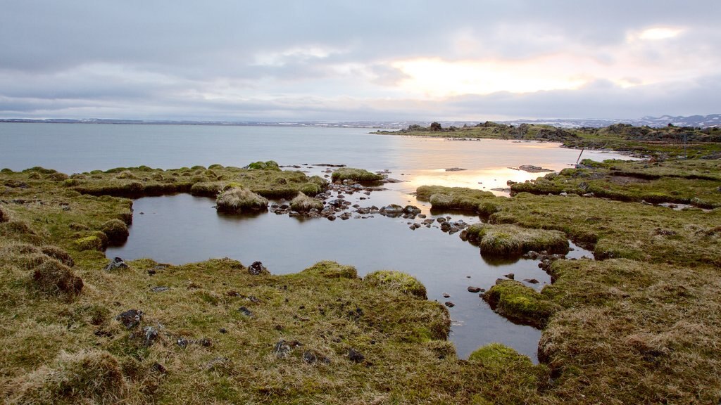 Myvatn featuring general coastal views