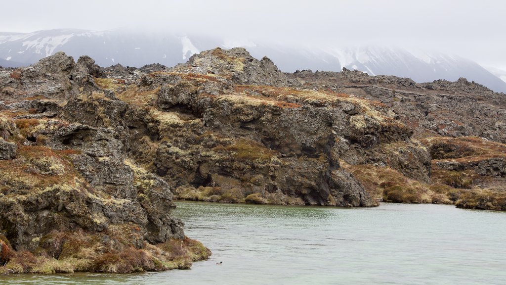 Myvatn which includes mist or fog and rocky coastline